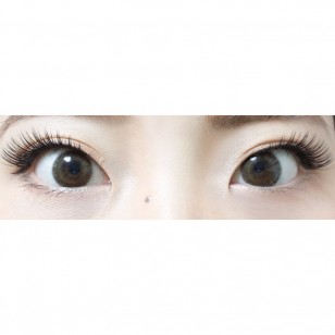 FLANMY Matcha Tart 10片裝